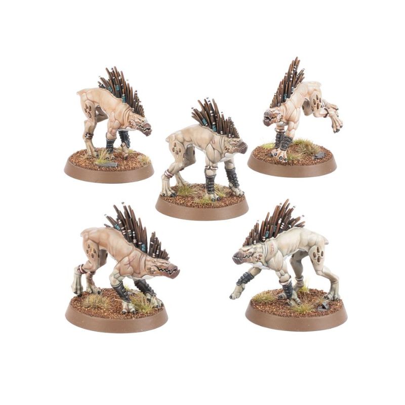 Warhammer 40K - T'au Empire: Kroot Hounds